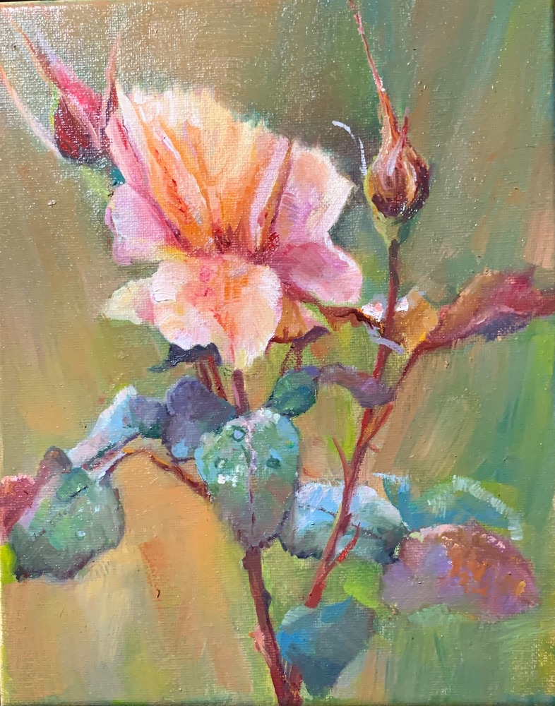 Little Rose — original oil painting on canvas by Carol D'Arcy. 20×26cm. © Carol D'Arcy.